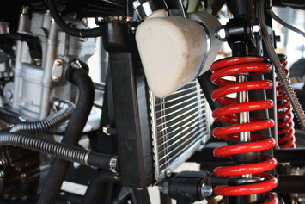 300cc chain drive Hunting size ATV