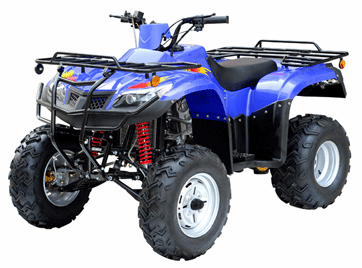 300cc chain drive Hunting size ATV