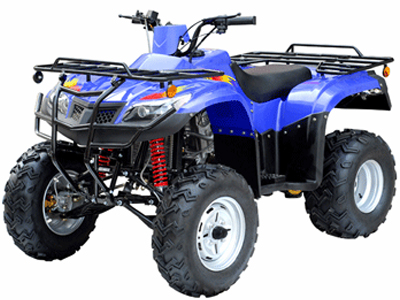 300cc chain drive Hunting size ATV