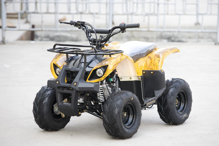 Wholesale 110cc quad atv