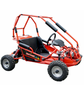 Wholesale Go kart